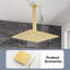 Rain Fixed Shower Head-1872403782