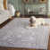 Calidia Oriental Beige/Cream Area Rug