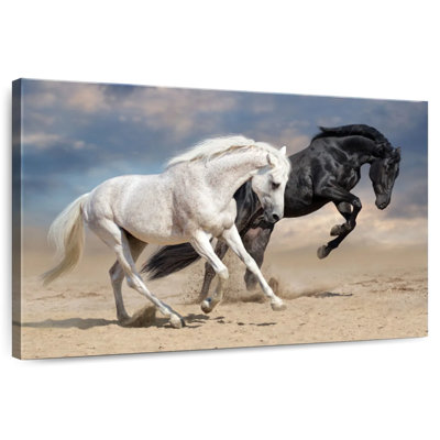 Chevaux noirs et blancs Brampt