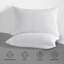 Paquet de 4 oreillers de soutien Delf Down-1551718540