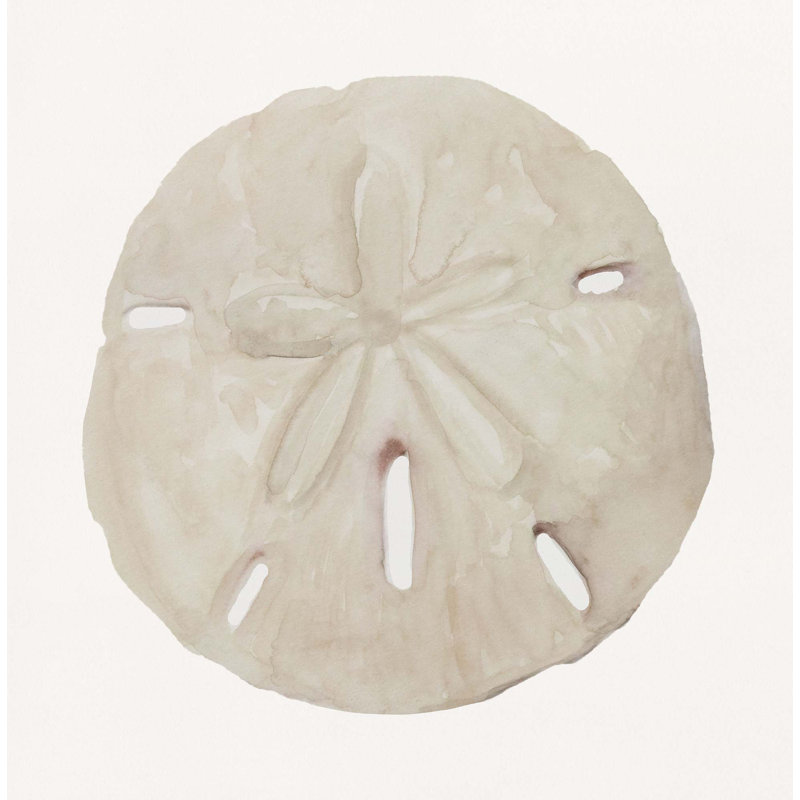«Sea Shell 8» par Rita Taverni - photographie sur toile tendue, H 50 po x l 50 po, Toile tendue