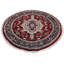Kassiani Oriental Area Rug in Red