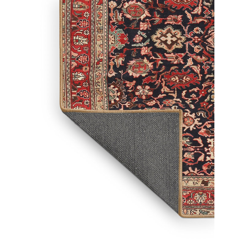 Absolom Oriental Indoor Rug, Rectangle 2' x 3'