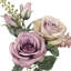 Doux rosier-698147349