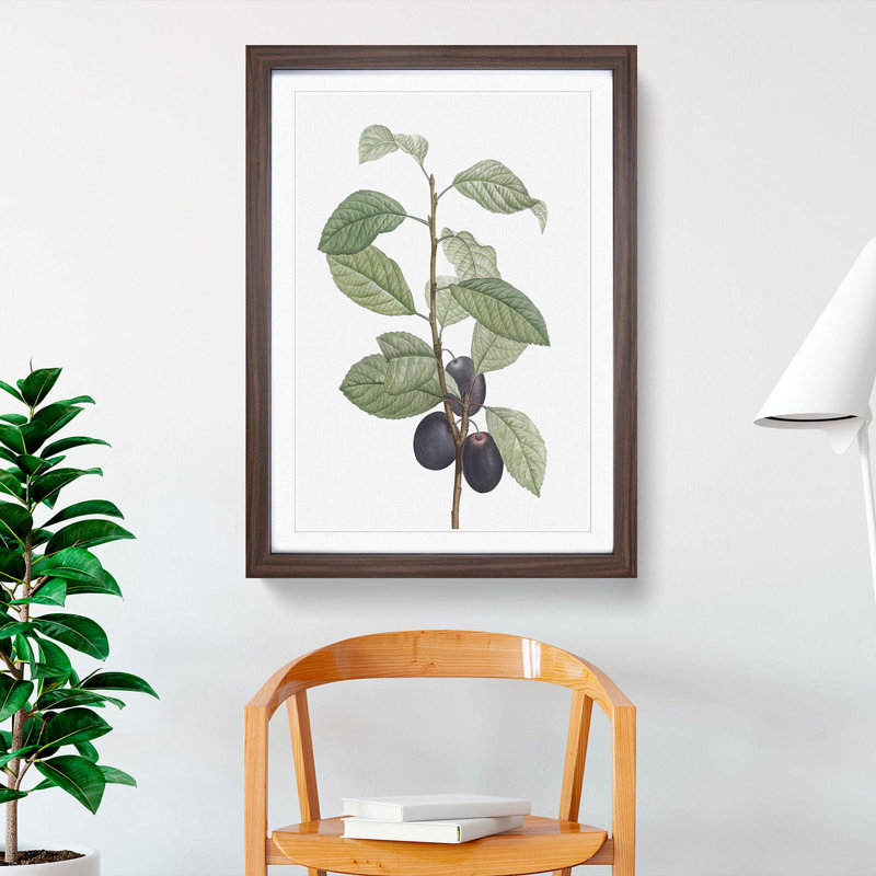 Prune Tree by Pierre-Joseph Redoute - Picture Frame Painting Print, Walnut Framed, 36cm H x 27cm W x 2cm D