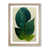 Oak Framed is unavailable
