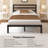 Full Elegant Metal Bed Frame with Classic Headboard, Under-Bed Storage, Easy Assembly, Black-1150626100-1150626103