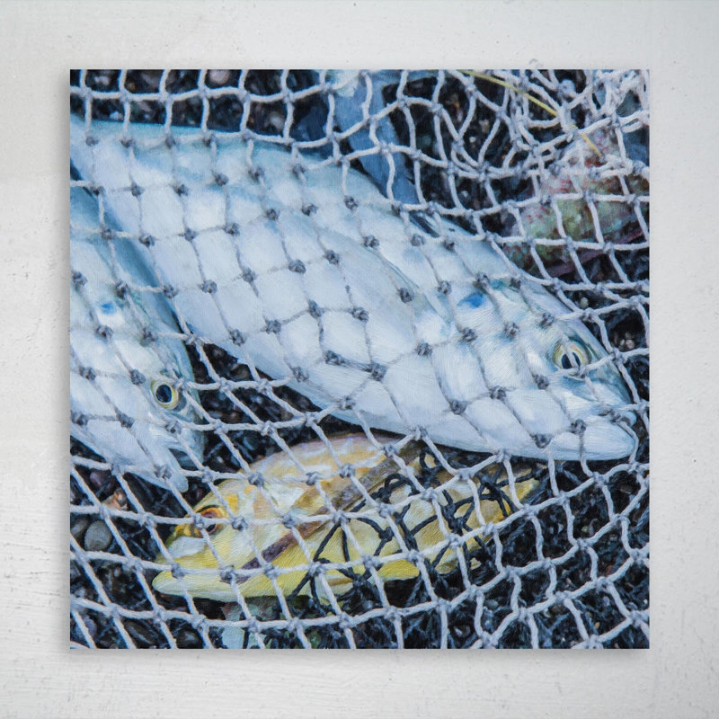 " Some Fish In Fishing Net " Painting Print, 32" H x 32" W