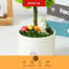 Centre de table Mossever en pot-1970813646