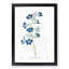 Blue Larkspur Flowers - Picture Frame Painting-57844747-57844748