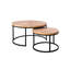 Ensemble de tables basses gigognes 2 pièces Joint Modern