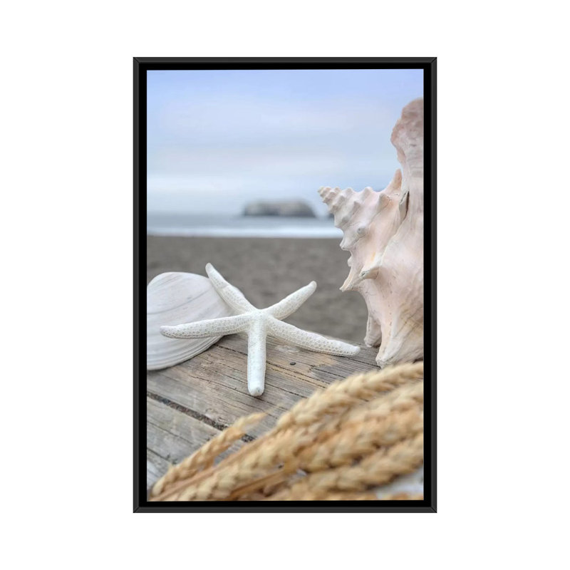 «Crescent Beach Shells» par Alan Blaustein - reproduction, H 26 po x l 18 po x P 1,5 po, Toile avec cadre noir