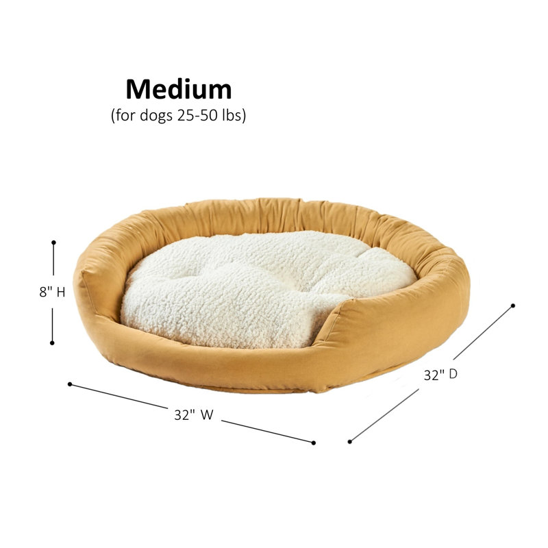 Lit pour chien Chamari Donut, Moyen (l 32 po x P 32 po x H 8 po), Crème au beurre