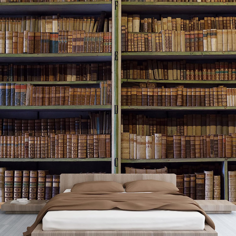 Historic Old Books in Ancient Library Wooden Bookshelf Paintable Wall Mural, 100" L x 144" W
