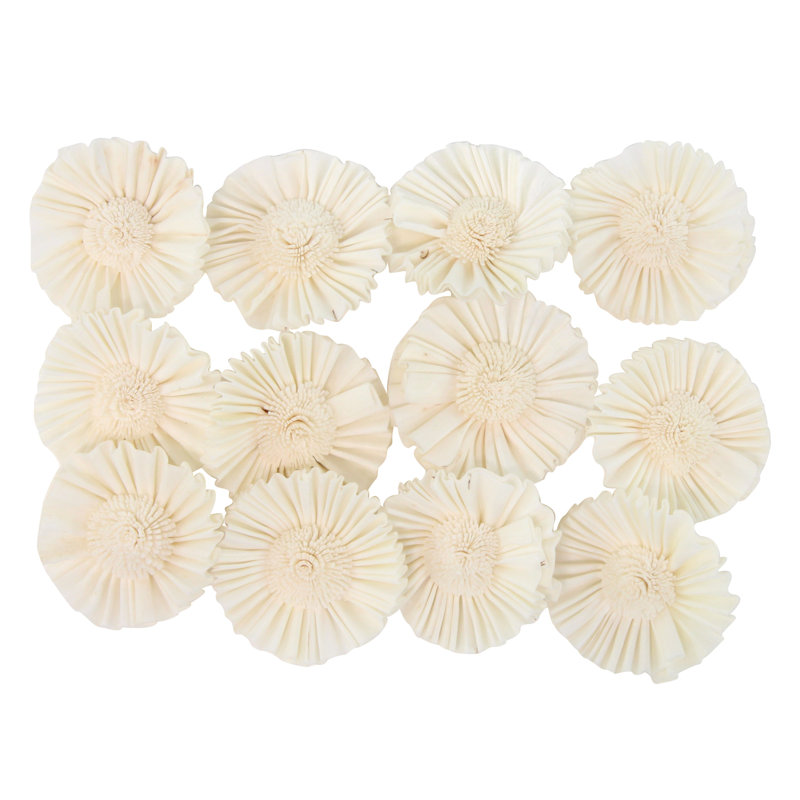 Chrysanthemum naturel 2 pièces en boîte sola et bouclé