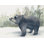 Black Bear Forest II Painting by D’Alessandro Léon