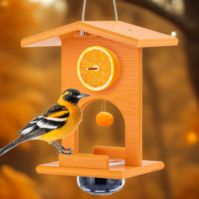 All-In-One Recycled Plastic Oriole Bird Feeder With Removable Glass Cup For Jelly, Fruit, Nectar Or Seeds, Hanging Outdoor Feeder