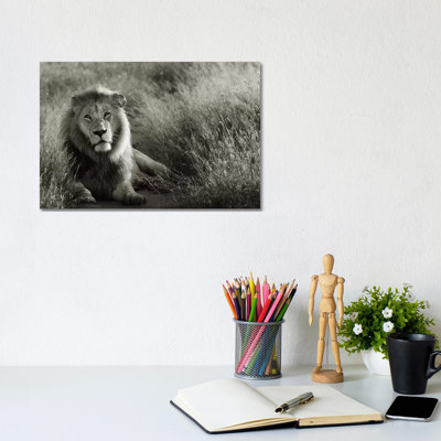 B&W Lion At Rest by Klaus Tiedge - Print on Canvas