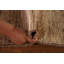 Tapis de couloir oriental Gabbeh 2x10