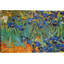 « irises » par vincent van gogh, impression-362597021-362598318