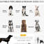 Poussette pour chien de taille moyenne à grande - Roues absorbant les chocs, filet, gris, absorbant