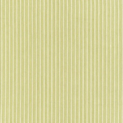 Baker Cotton Stripe Fabric