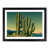 Black Framed selected