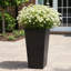 Plant Pot-795294482-788838801