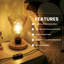 Wood Desk Lamp