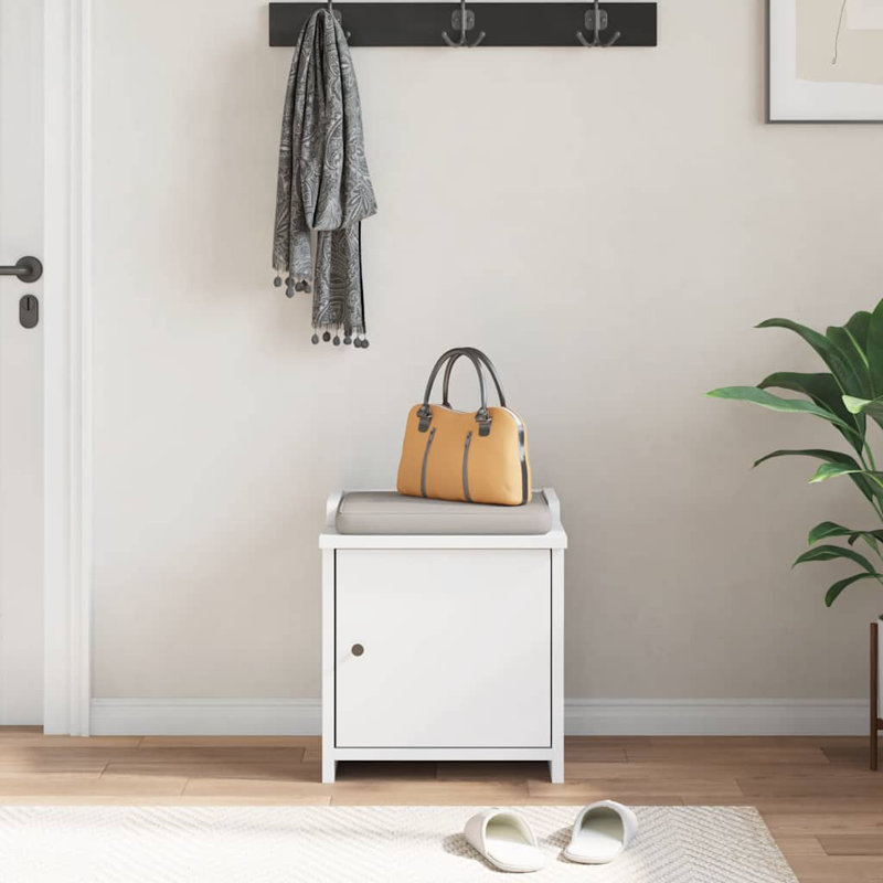 Sydalee Shoe Storage Cabinet, White