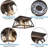 Lopardo Flush Mount-1699222322-1708949566