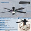 Ventilateur de plafond 52 po à profil bas encastré noir avec lumière annulaire RVB-1253943836