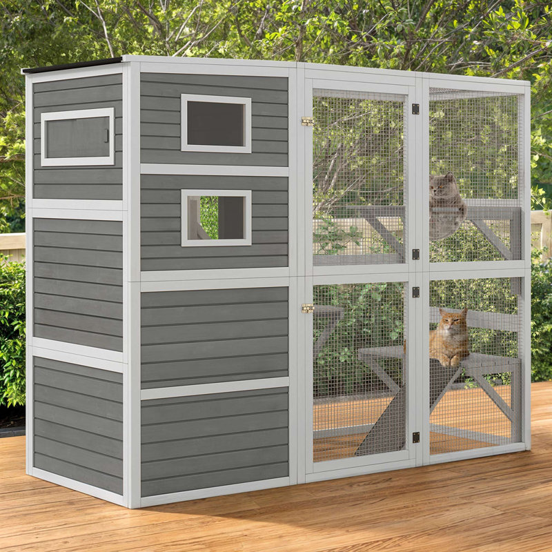 Grand enclos pour chat 4 niveaux Catio