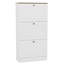 3 Drawer Shoe Cabinet with Top Modern Shoe Storage For Hallway Living Room & Bedroom-816075640
