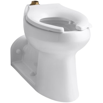 Anglesey Comfort Height Collection K-4352-L-0 Floor Mounted Top Rear Spud Flushometer Bowl with Bedpan Lugs in -  Kohler, K4352L0