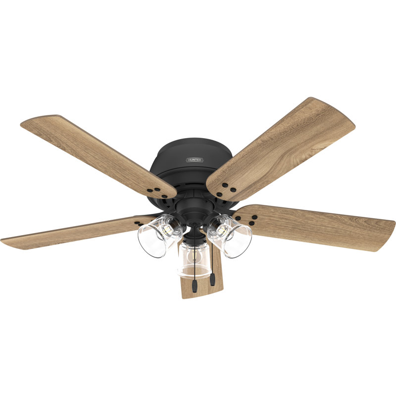 Shady Grove 52" 5 - Blade Ceiling Fan With Lights And Pull Chain, Matte Black