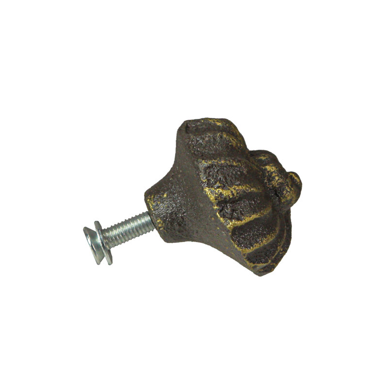 Multipack Nautilus Shell, Bronze