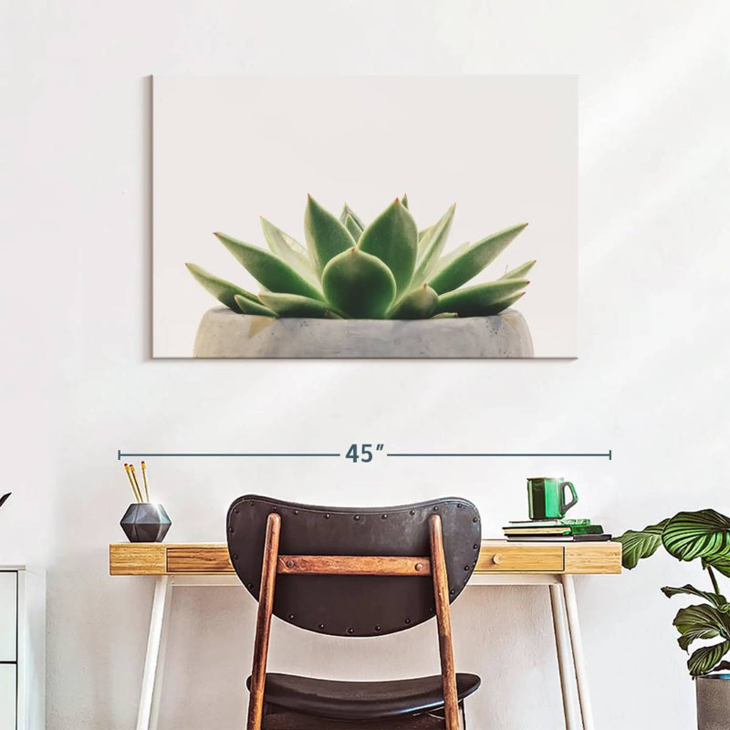 Harnek Stone Pot Succulent, 26" H x 39" W