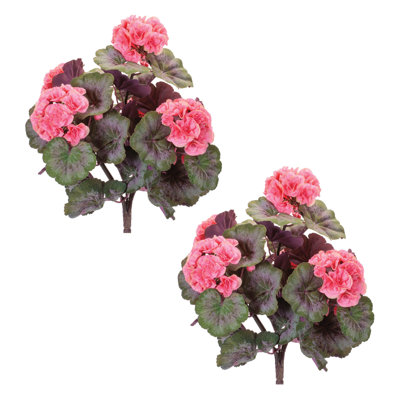 Geranium Floral Bush
