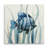 " Fish In Seagrass I "-22679155-40496764-120017853