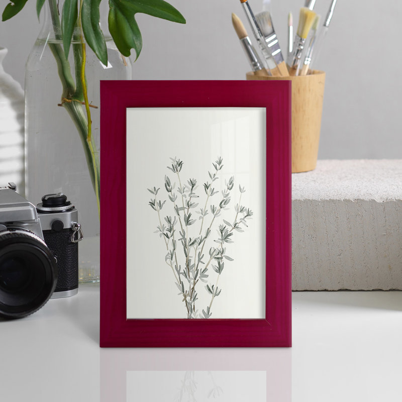 Brigette Delicate Sage Botanical III, reproduction d'art encadrée, Rouge, H 6 po x l 4 po x P 1 po
