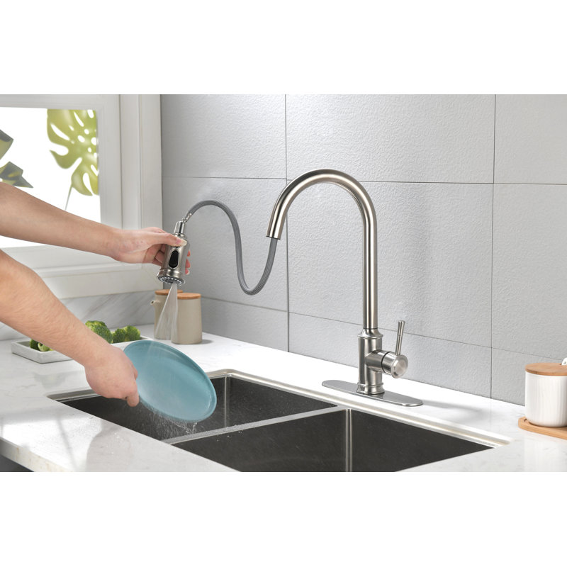 Single Handle High Arc Pull Out Kitchen Faucet,Single Level Stainless Steel Kitchen Sink Faucets With Pull Down Sprayer
