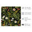«Botanical Botanical Garden», reproduction d'art moderne sans cadre-1638945526