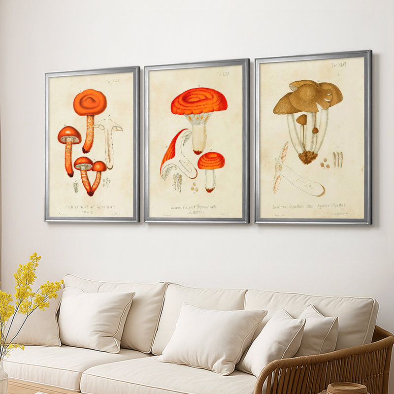 Mushroom Variétés IV - Toile tendue avec châssis sur mesure - 3 pièces, H 15 po x l 19 po, Argent argent