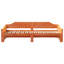 Capirano Solid Wood Daybed with Trundle-1948849449-1948849444