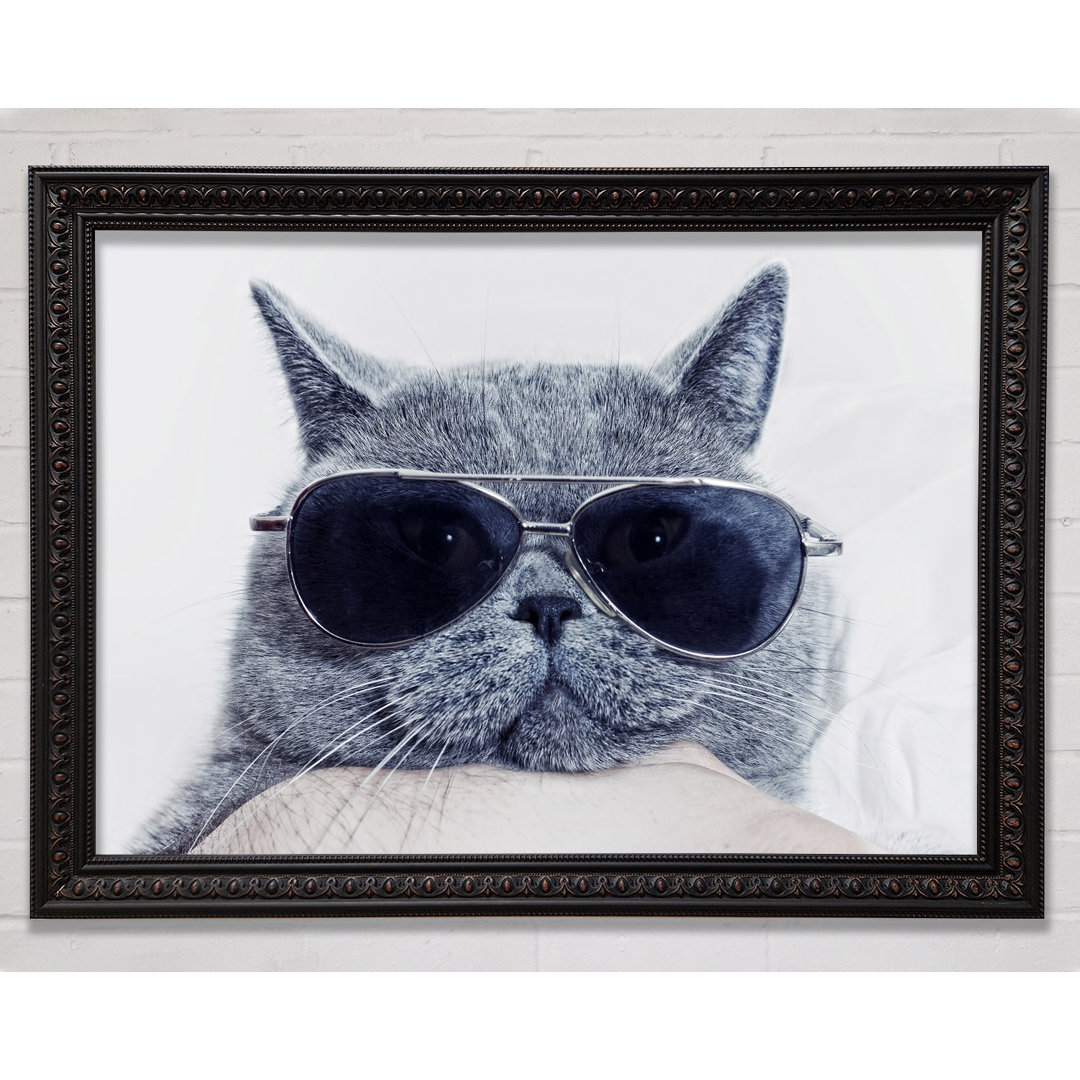 Kitty Cat Cool - Druck