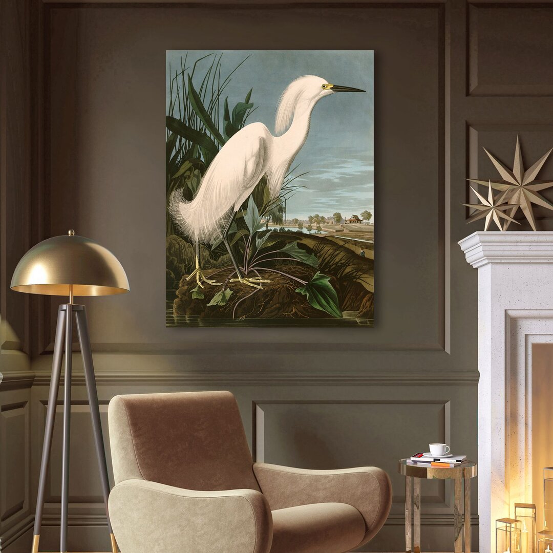 Leinwandbild Snowy Heron or White Egret von John James Audubon