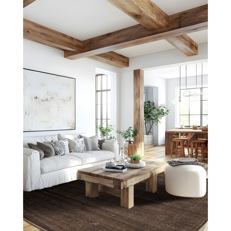 Timeless Brown Rug 6'0" x 9'0"