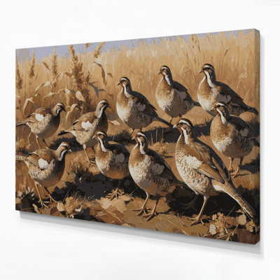 Birds Red legged Partridge Brown Canvas Wall Art