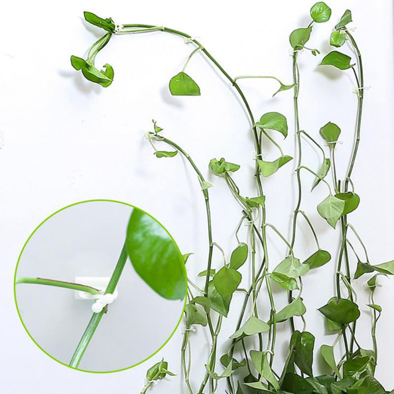 Fixation murale 50PCS